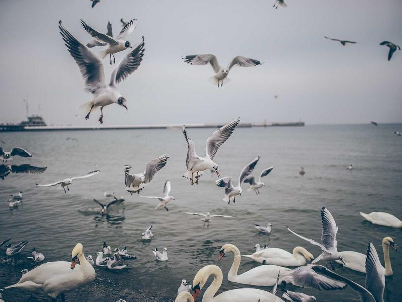 How we Strengthen Content Creation by 3 178%